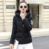 Jacket Hooded Thick Warm Short Jacket Cotton Padded Parka